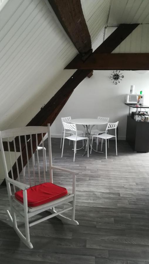 Appartement Spacieux Vue Sur Loire Proche Du Centre Blois Exterior foto