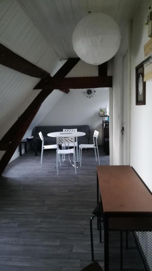 Appartement Spacieux Vue Sur Loire Proche Du Centre Blois Exterior foto