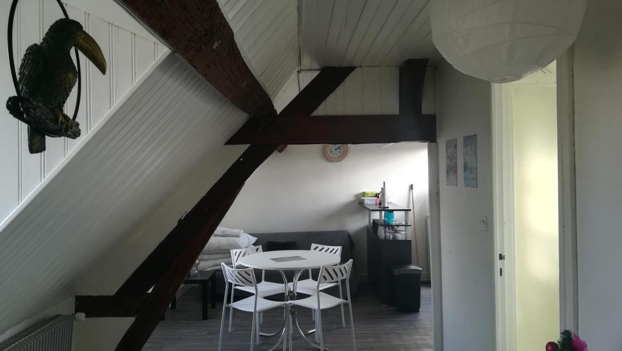 Appartement Spacieux Vue Sur Loire Proche Du Centre Blois Exterior foto